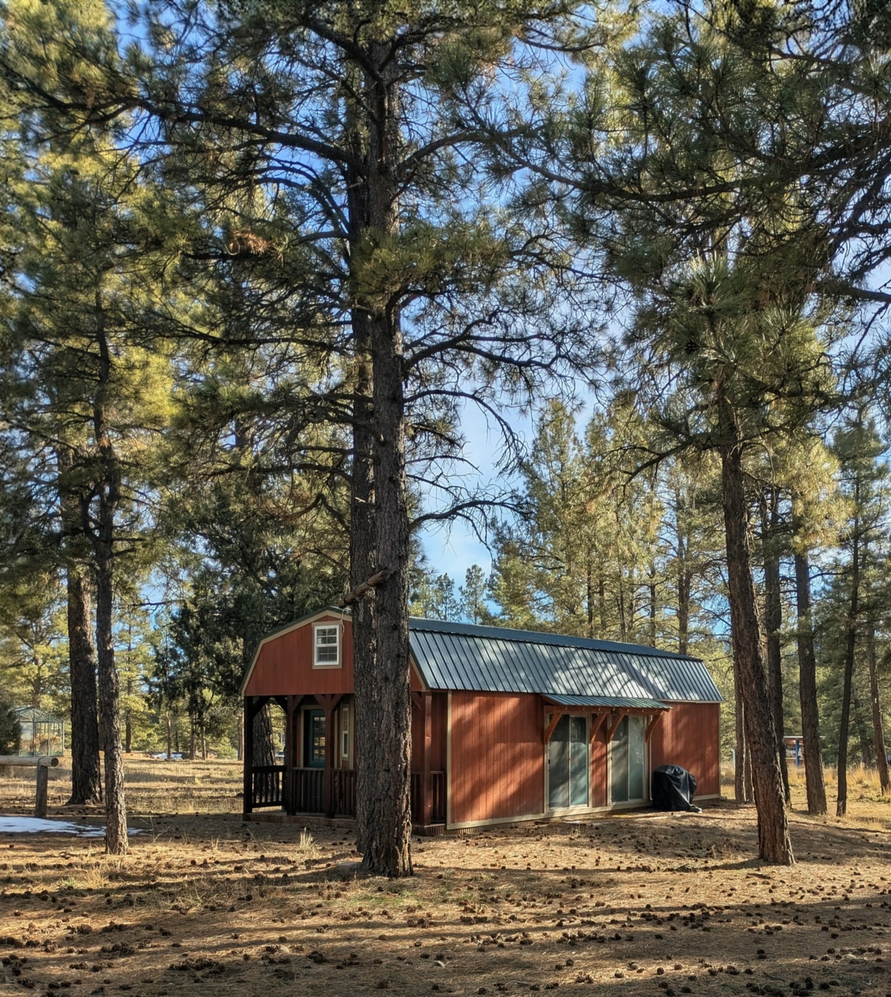 Cabin surrounded by pine trees on the Pagosa Springs property