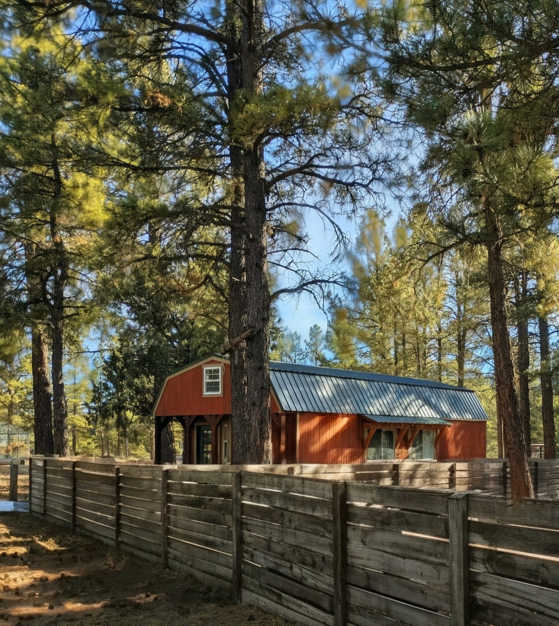 Alternate view of the cabin and surrounding mountain property