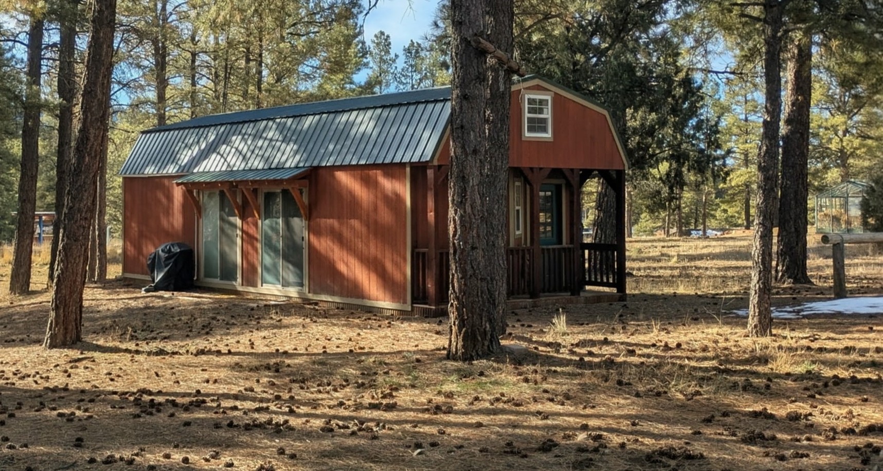 Woof Creek Dog Care cabin surrounded by pine trees in Pagosa Springs